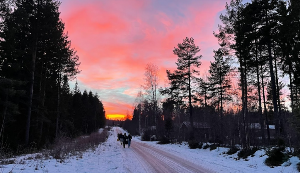Sunset in Dalarna. Credits Cole Ferguson.
