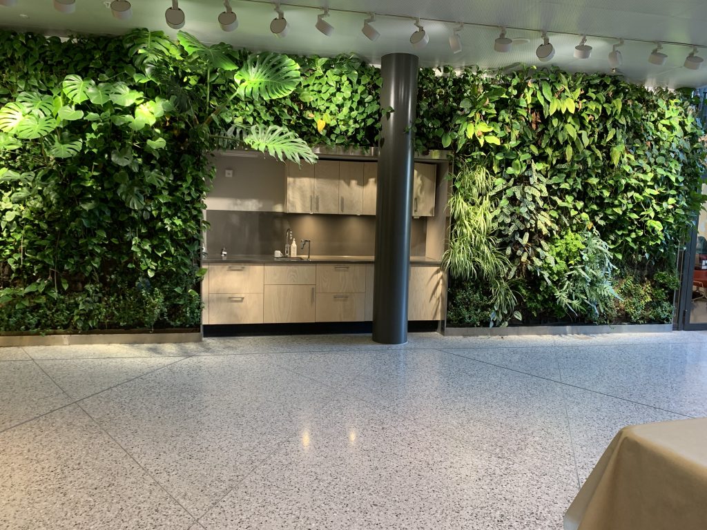 The kitchenette embeded in a plant wall in the Biomedicum building gives students a connection to nature. 
