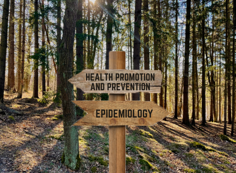 Photo of forest with wooden sign