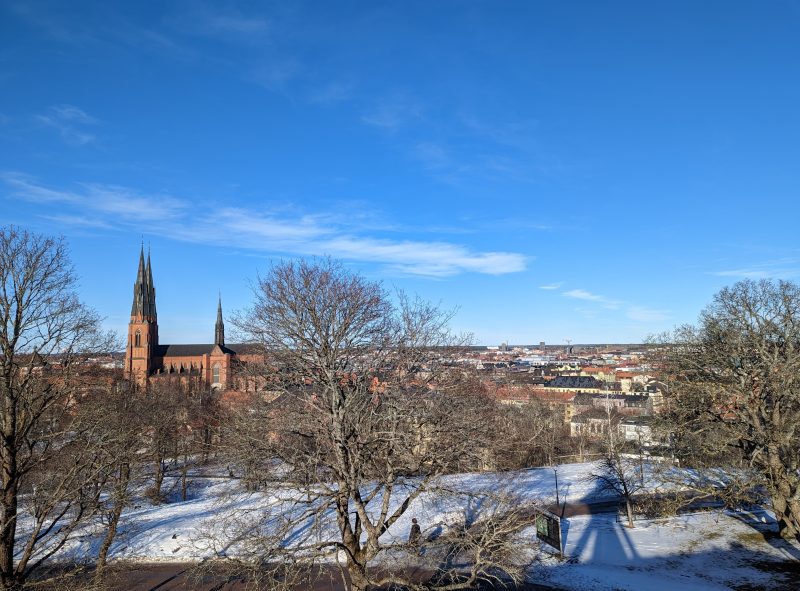 Uppsala Skyline Photocredit: Tade Idowu