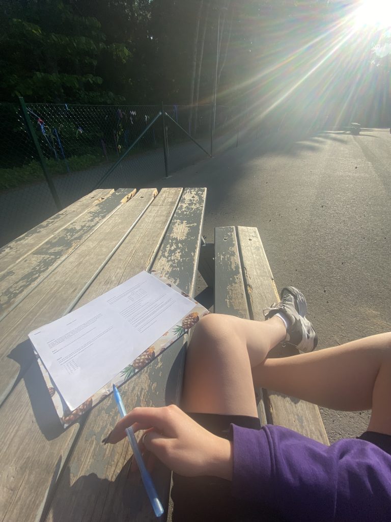 perfect spot to learn