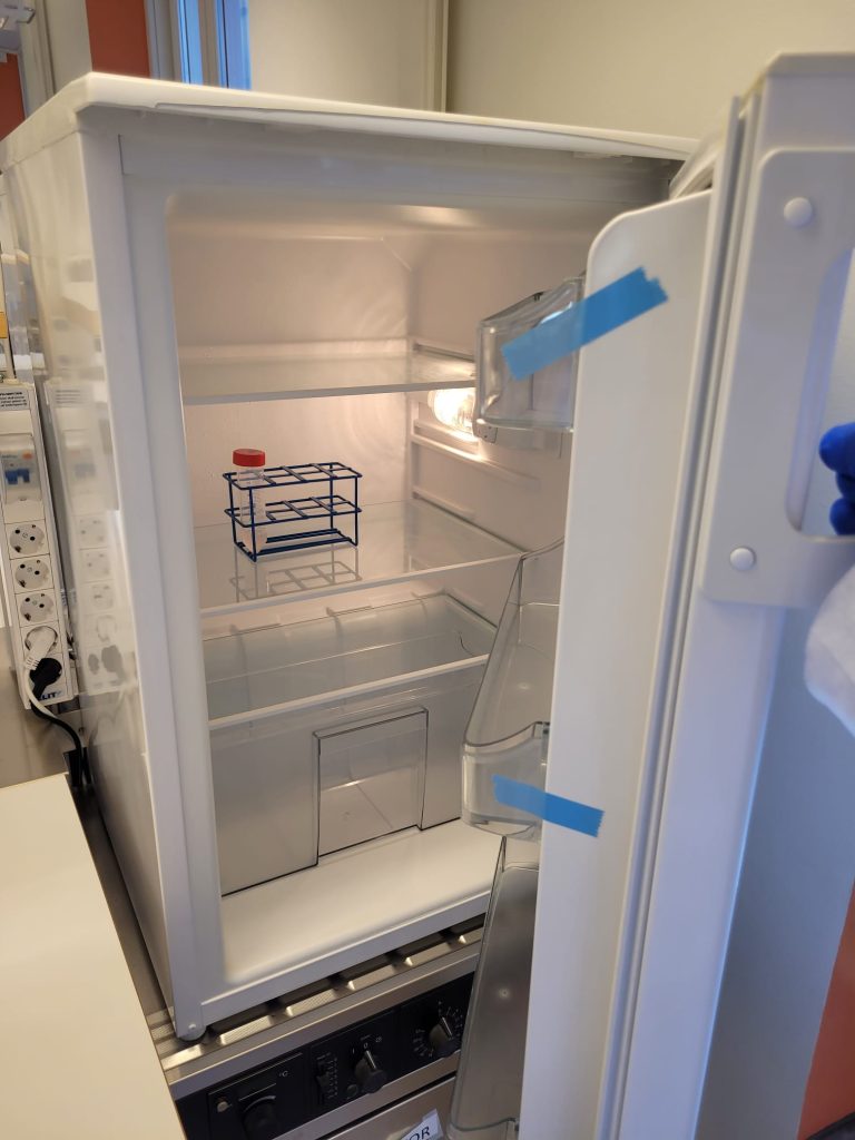 Incubating peripheral blood mononuclear cells in the fridge after adding the antibody cocktail; Credits: Vlad Popescu