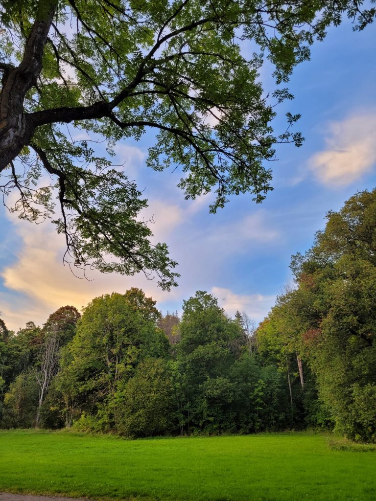 Embracing the serenity of nature on my way to uni; Credits: Vlad Popescu