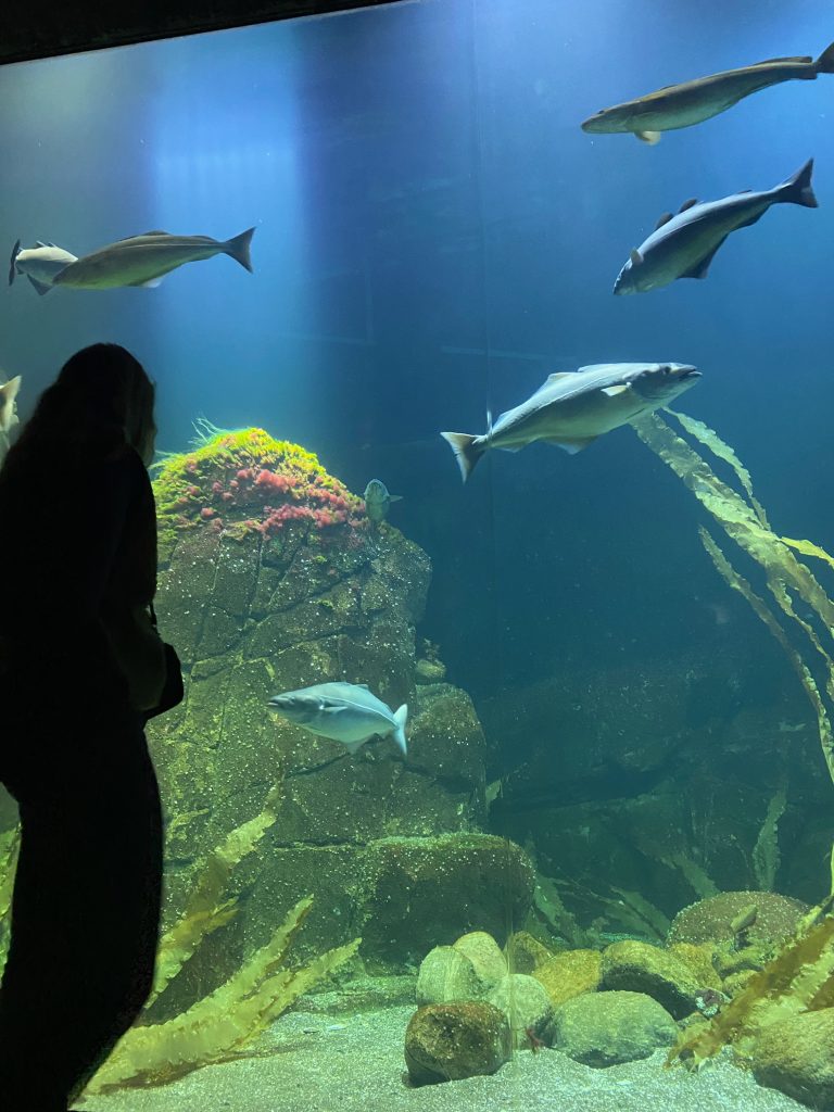 A photo of a girl standing in front of a fish tank