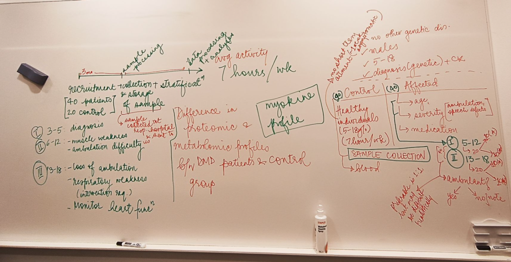 a whiteboard filled with notes from a brainstorming session that even the author does not follow.