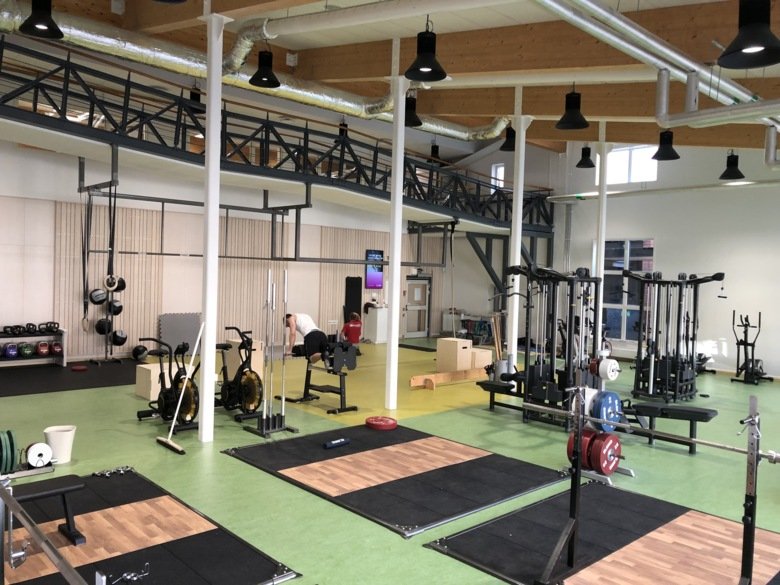 A picture of a gym with a green floor
