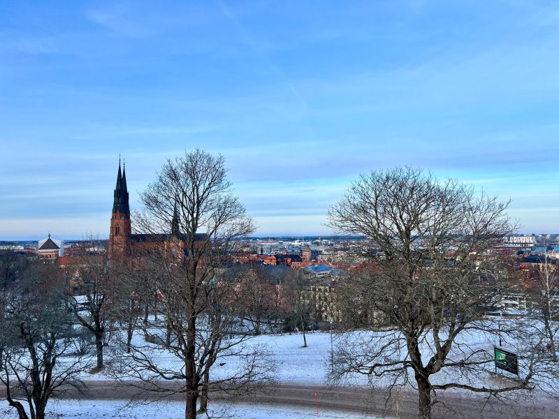 A panoramic view of Uppsala Cathedral and the city from the Uppsala Castle hill.