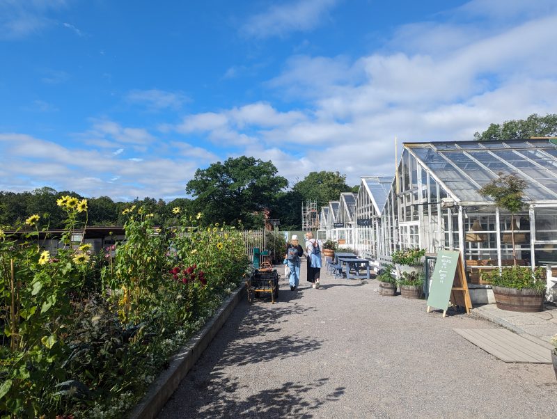 Greenhouses at Rosendals. Photo Credit: Tade Idowu