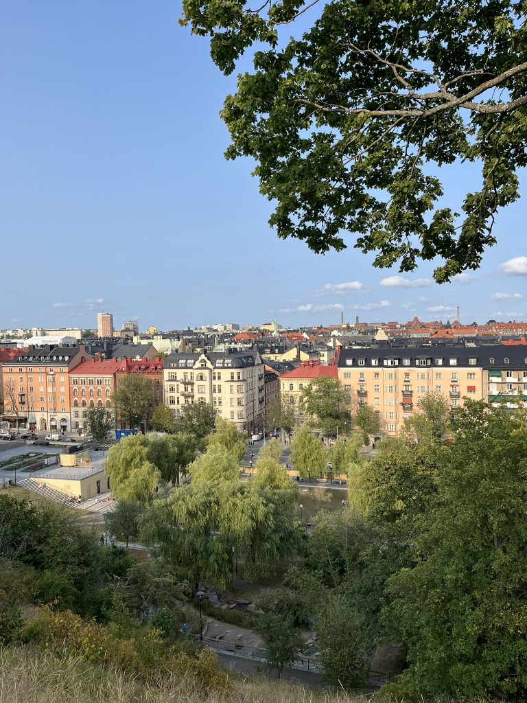 A scenic view of the city from a high viewpoint