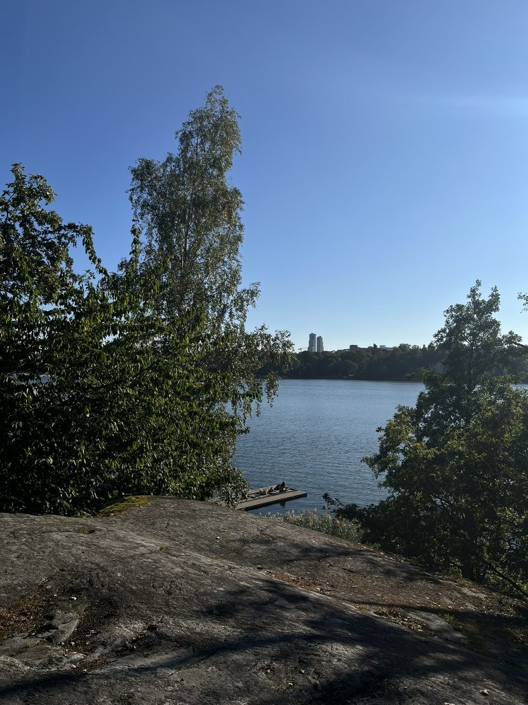 A swimming spot on a sunny day