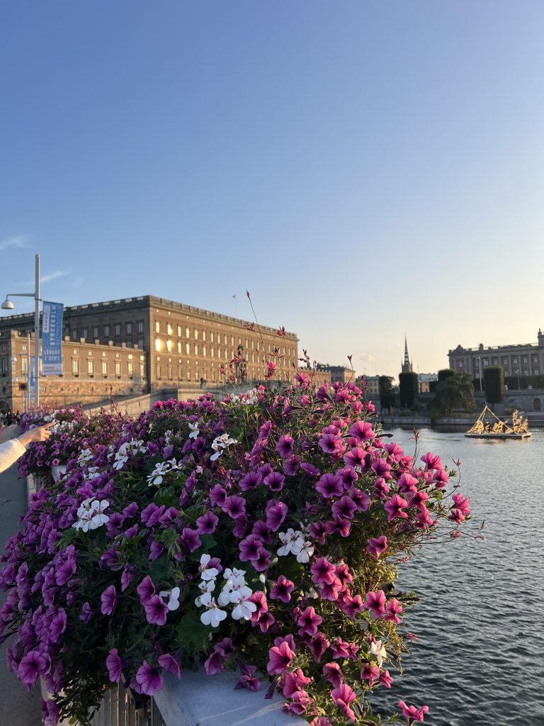 Side view of the royal palace I saw while walking around Stockholm. Photo credits: Adwika Rag