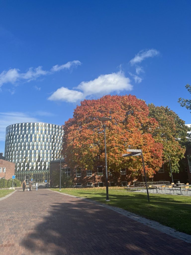 The campus with beautiful fall foliage