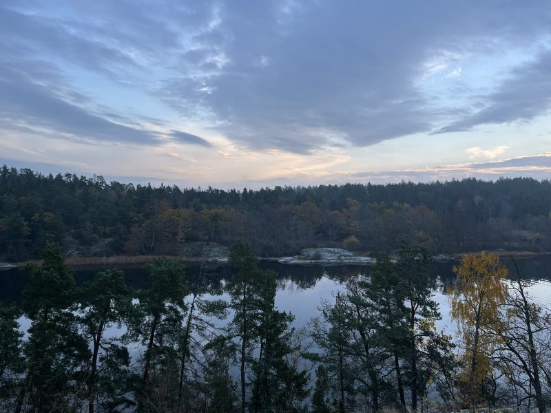 A high view of nature with a lake and forest