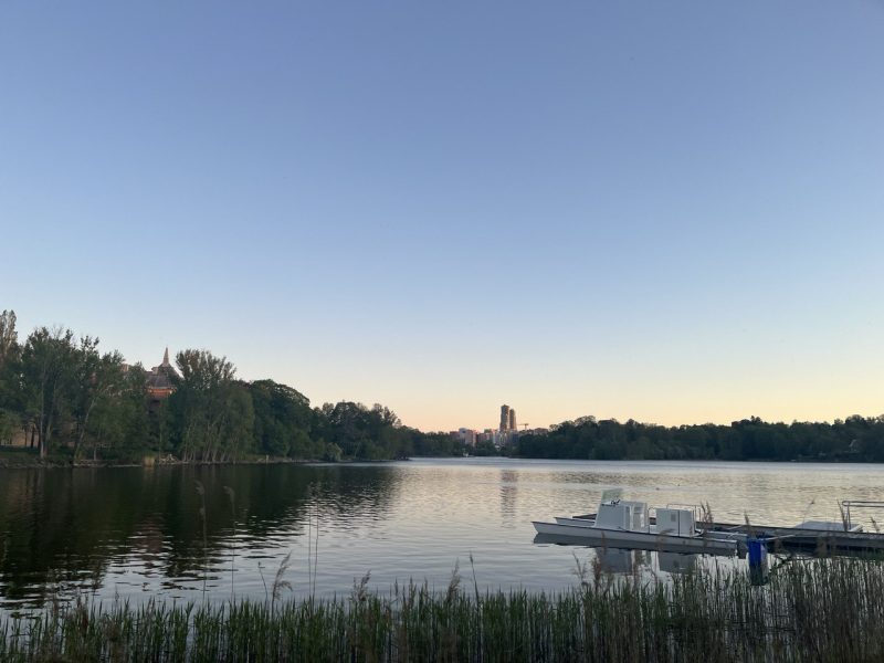 A sunset view