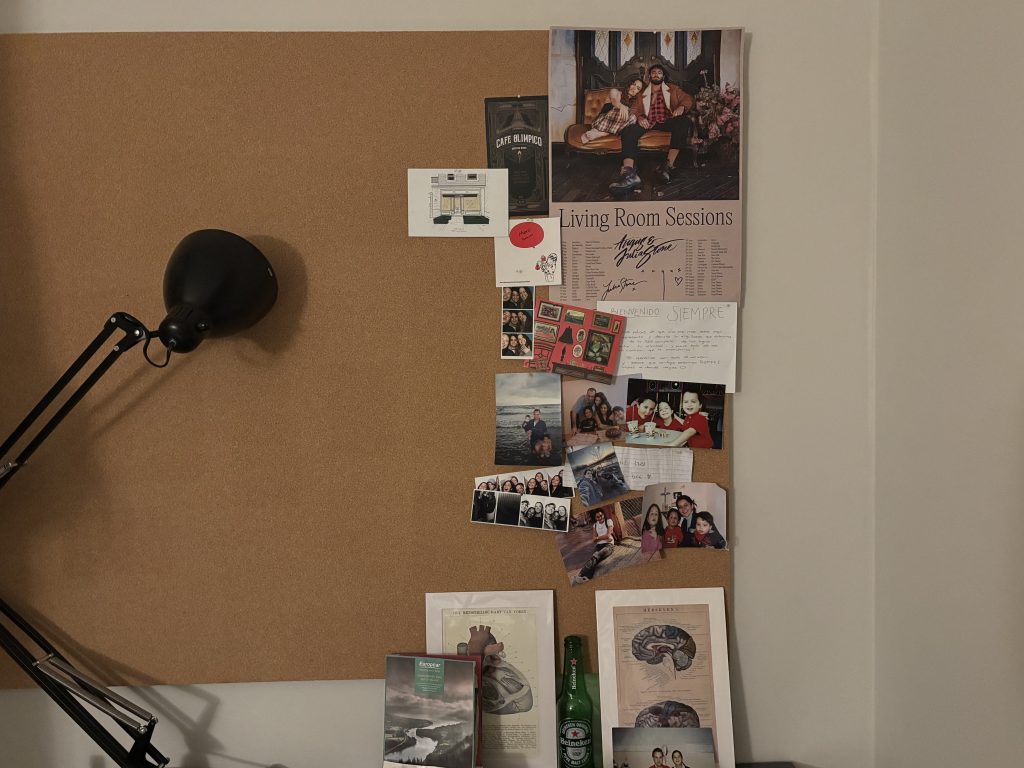 Pieces of home. Photo credit: Luis Gerardo Barcena