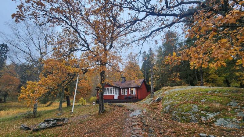 A red cabin in the middle of organe and yellow leaves in the fall.
