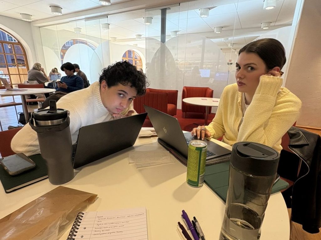 KTH study session with Robin and Kevser. Photo credit: Luis Barcena