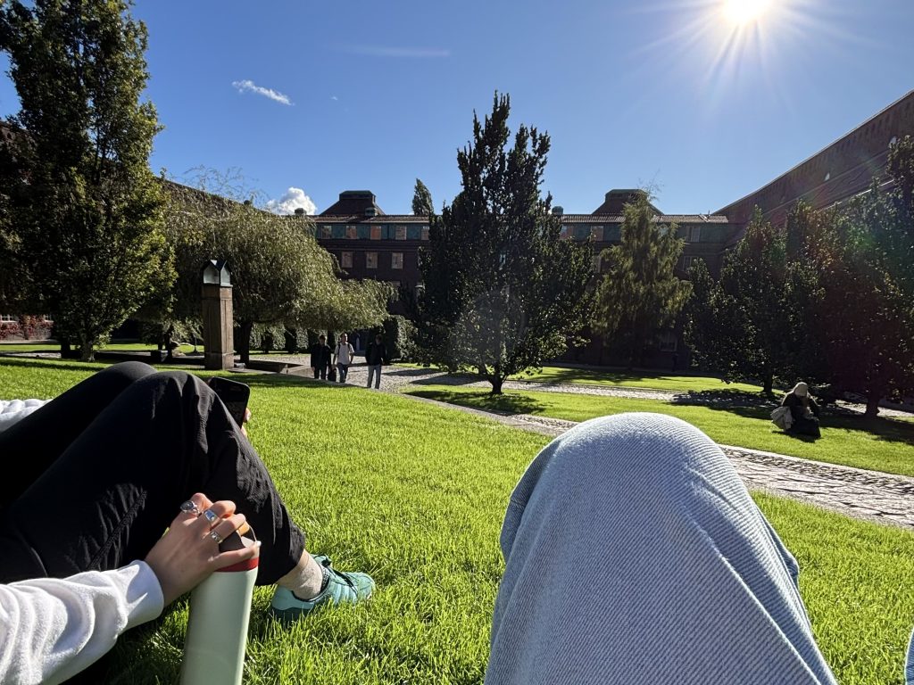 Much needed study break. Photo credit: Luis Barcena