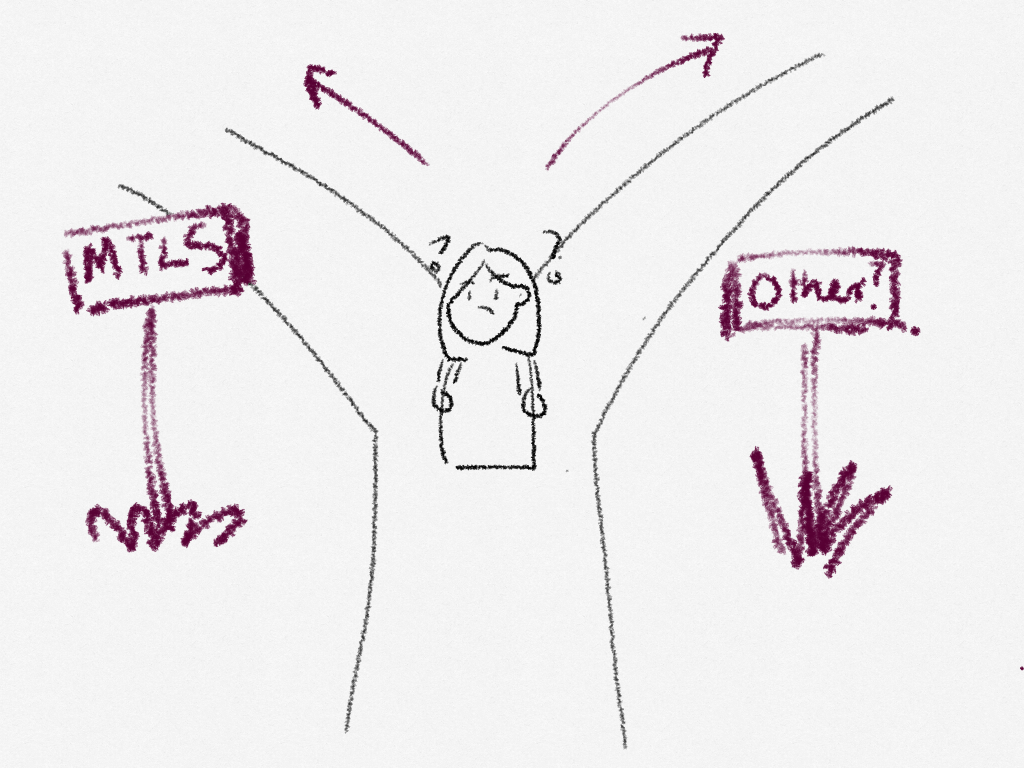 A drawing of a girl feeling confused at a fork in the road. The left is labeled by a sign saying "MTLS" and the right says "Others?"