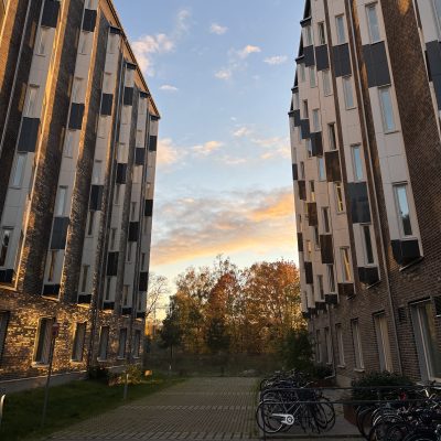 Sunset at KI Housing.