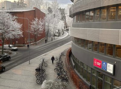 A picture from the higher floors of a building with the scenery of frosty trees and the road