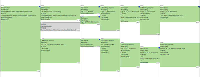 screenshot of a schedule