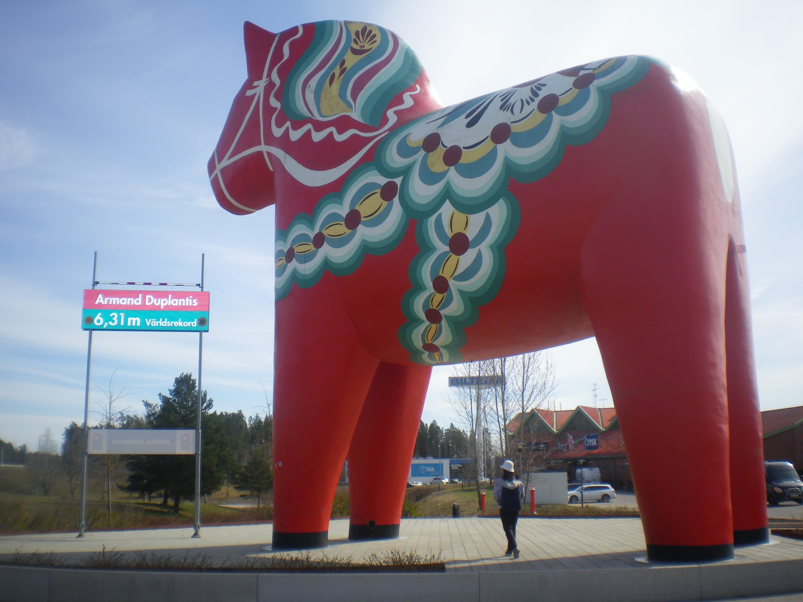 Another picture of the world's largest dala horse. There is a bar to the side showing Armand duplantis' Olympic world record for pole vault (6,31m) approximately half of the horse. 
