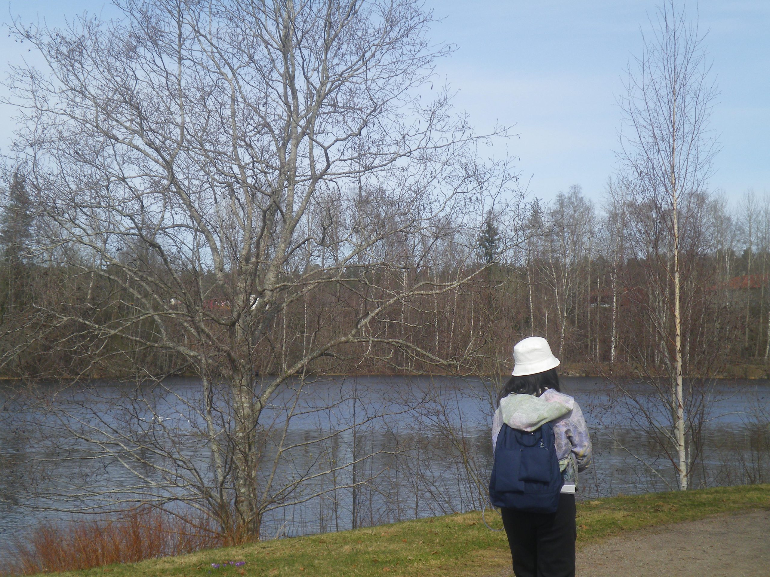 A single figure walked on a diagonal path with trees bare of leaves in the background. The background also shows a lake, as the path is on the edge of a lake. 