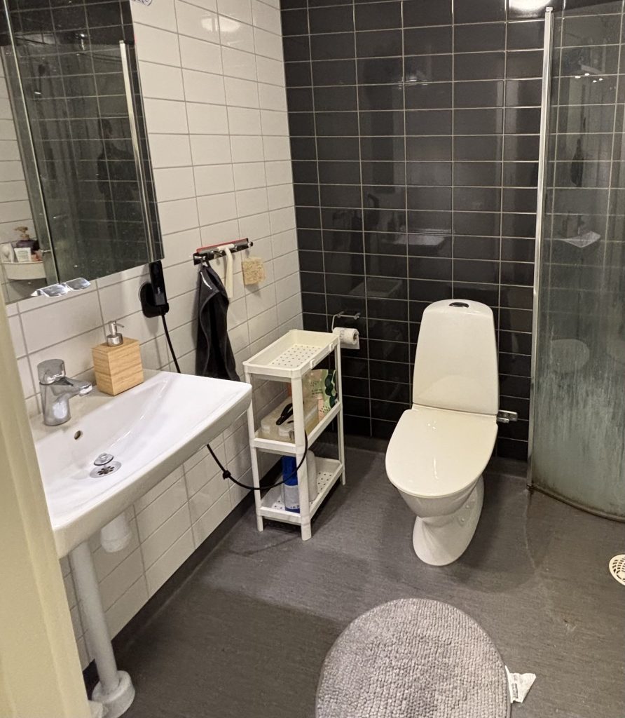 Bathroom. Photo credit: Luis Barcena