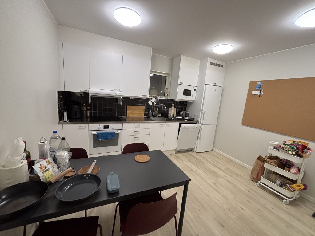 View of my kitchen at KI Residence Solna. Photo credit: Luis Barcena