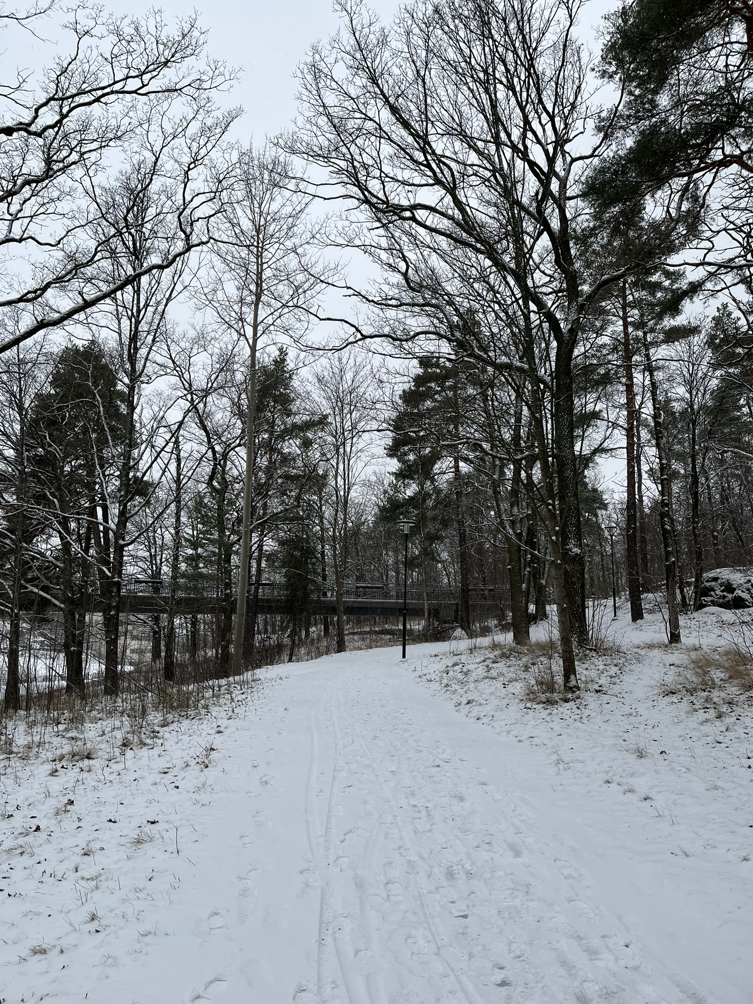 A snowy path on a slight incline. The trees surrounding are not dense but enough to be off the main road. They are also barren
