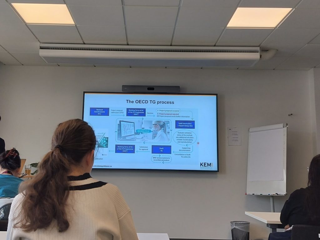 students looking at a presentation