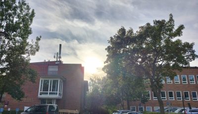 Brick houses and trees