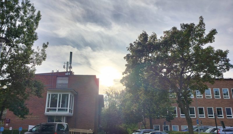 Brick houses and trees