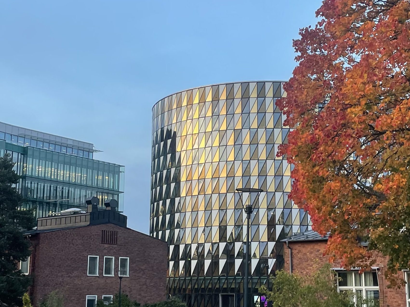 Aula Medica building and a tree with red autumn leaves.