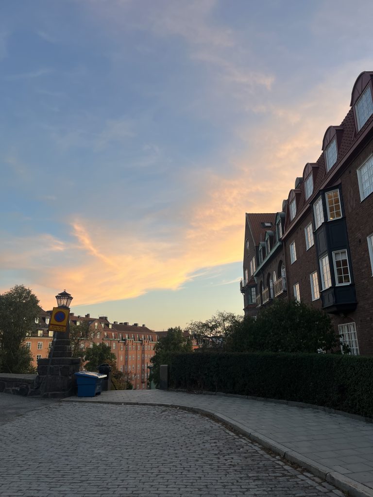 A beautiful rose-orange-coloured sky just before sunset, with charming, typically Stockholm-style brick buildings.