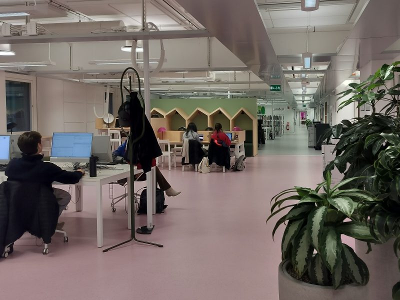 library hall with desks on the left and plants on the right side